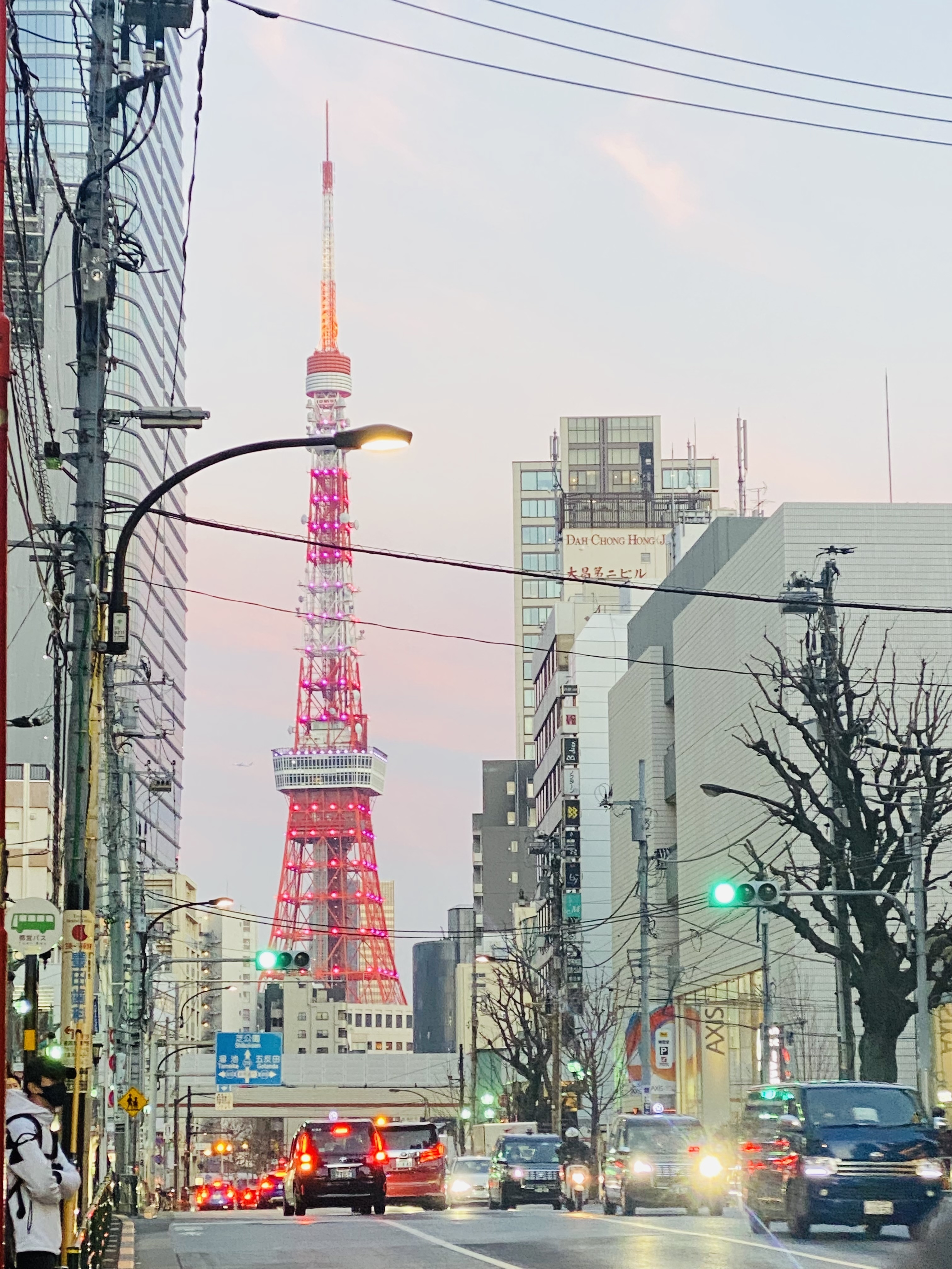 バレンタインデーの東京タワー